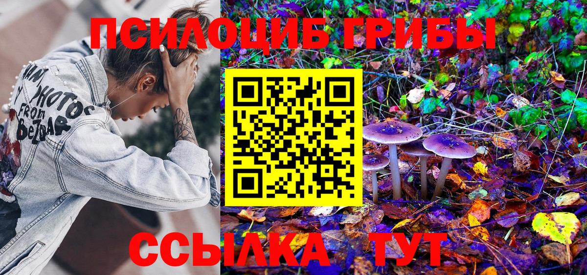 Псилоцибиновые грибы мухоморы Новосибирск