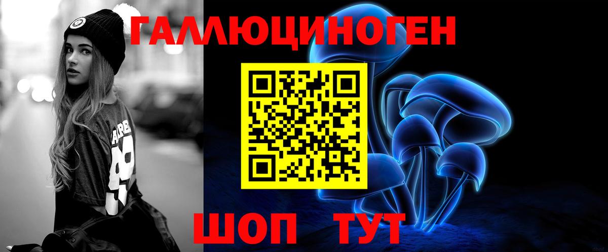 Псилоцибиновые грибы Cubensis  Галлюциногенные грибы прущие грибы  Вход с VPN  Новосибирск 