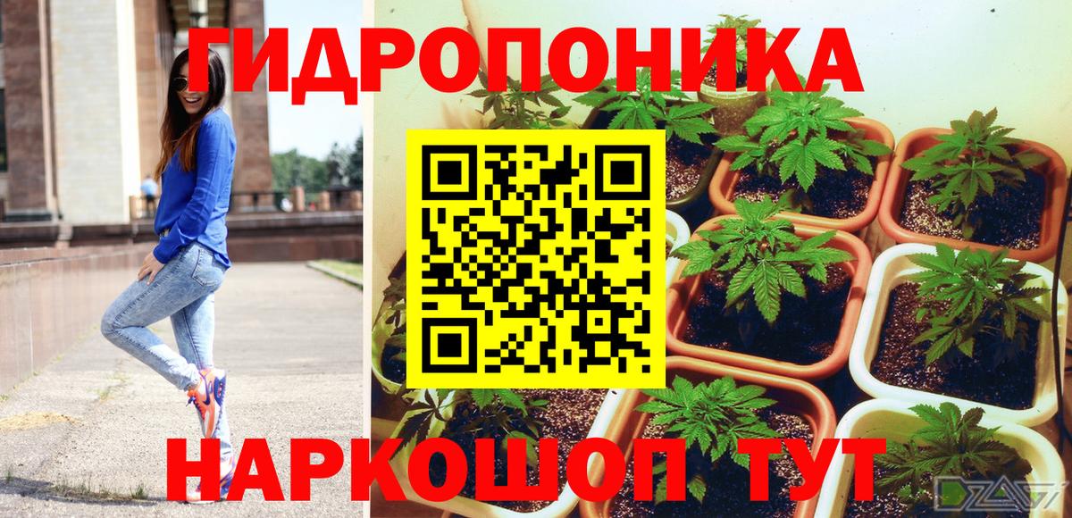 Бошки марихуана AK-47  Вход с VPN  Конопля семена  Новосибирск  Каннабис OG Kush 